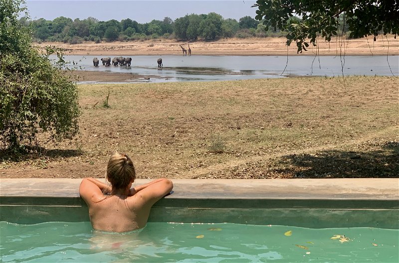 Wildlife viewing